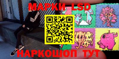 индика Усть-Илимск
