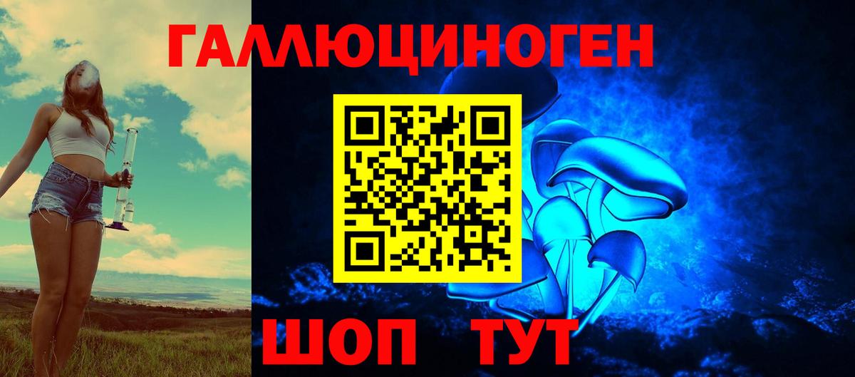 Муравленко  Галлюциногенные грибы прущие грибы  Вход с VPN 